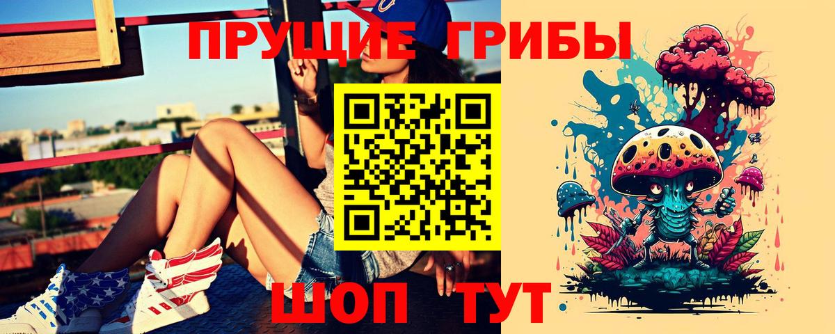 Северск  Галлюциногенные грибы ЛСД  где продают   Псилоцибиновые грибы ЛСД  Вход с VPN 